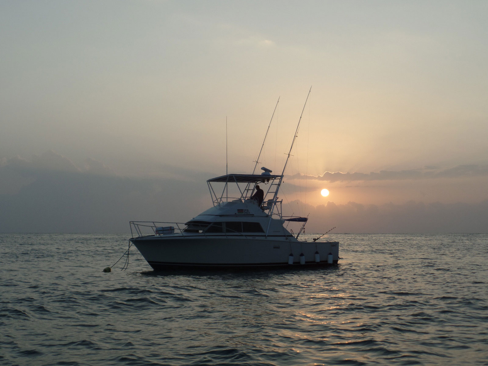 Night Fishing Trip - Kenya Sport Fishing for Big Game in Diani