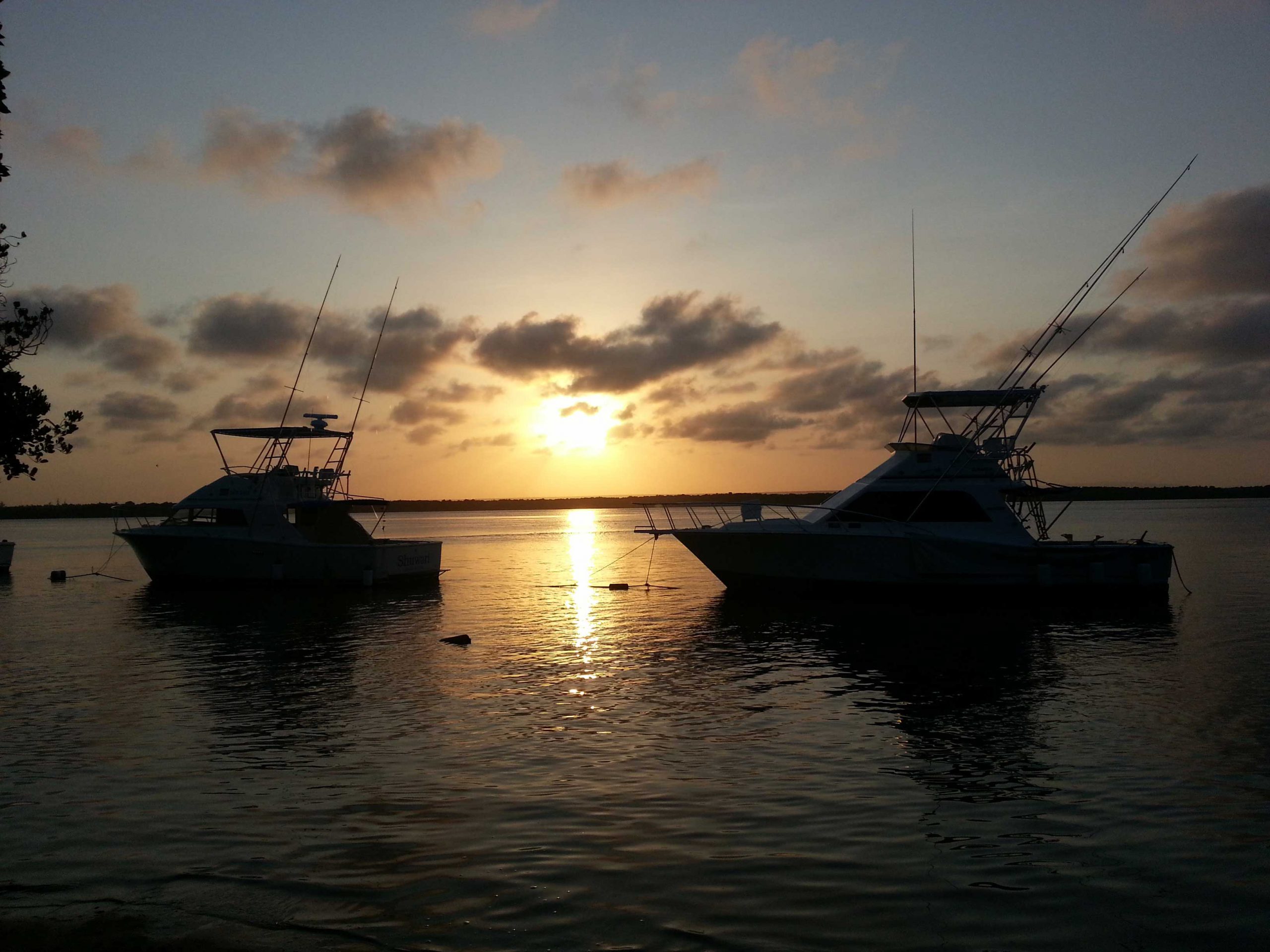 Deep sea fishing diani